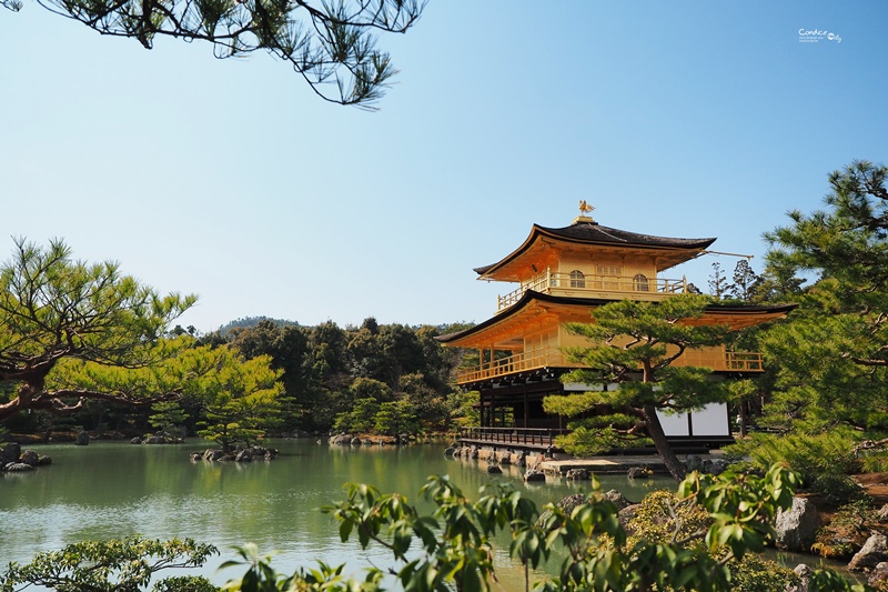 【京都景點】金閣寺/鹿苑寺,交通方便,京都必訪景點!