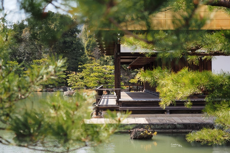 【京都景點】金閣寺/鹿苑寺,交通方便,京都必訪景點!