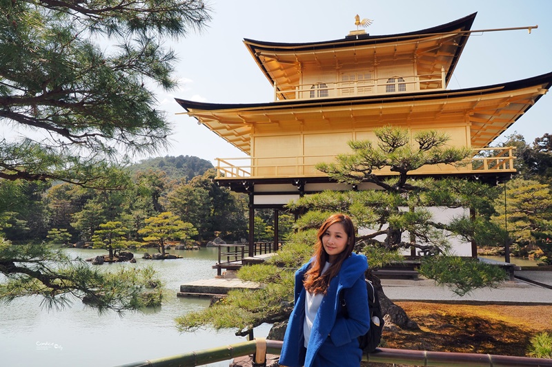 【京都景點】金閣寺/鹿苑寺,交通方便,京都必訪景點!