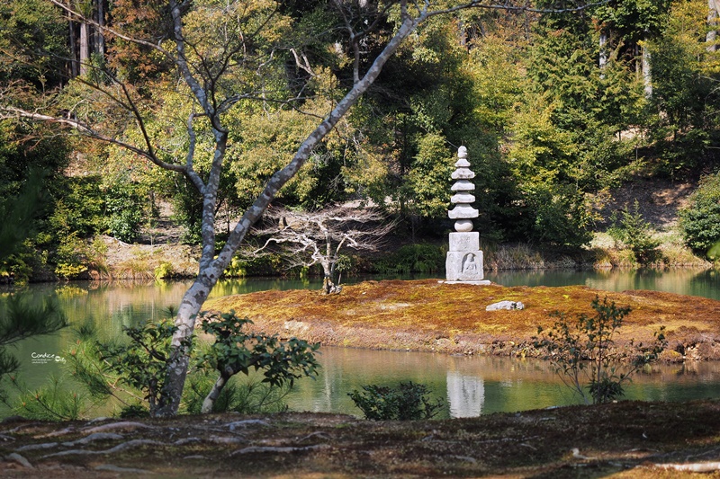 【京都景點】金閣寺/鹿苑寺,交通方便,京都必訪景點!