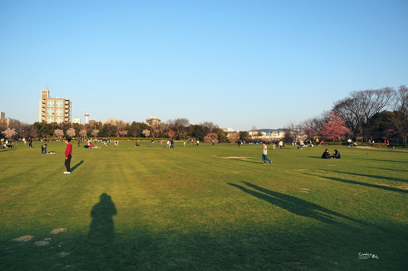 【京都賞櫻】賞櫻景點推薦:梅小路公園櫻花,京都人賞櫻野餐聖地!