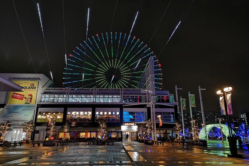 大阪海遊館｜超好玩的海遊館!看海獅海豹海豚超大鯨鯊療癒!親子行程必訪!