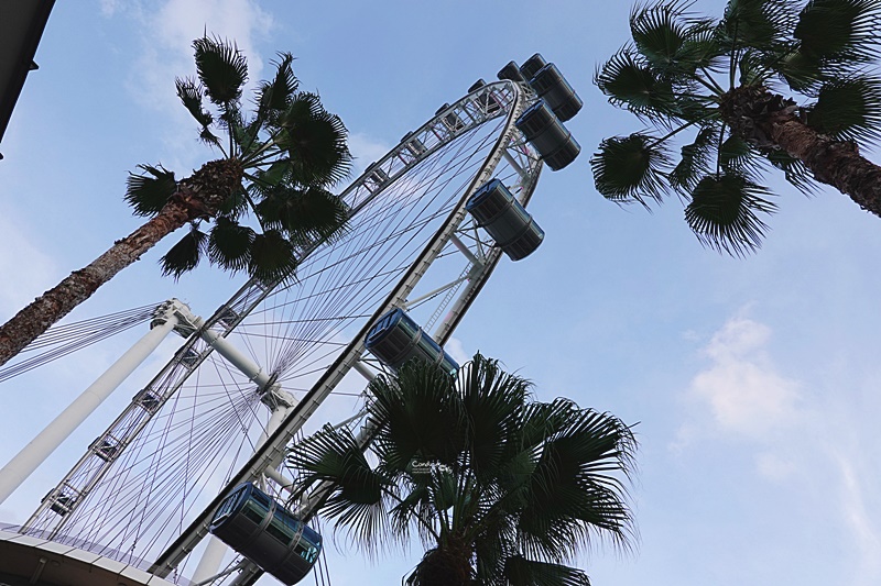 新加坡摩天輪 Singapore Flyer｜超美夕陽,夜景還可用餐!先買門票票價最便宜!