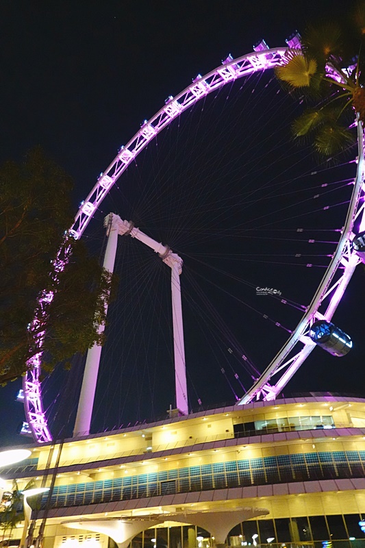 新加坡摩天輪 Singapore Flyer｜超美夕陽,夜景還可用餐!先買門票票價最便宜!