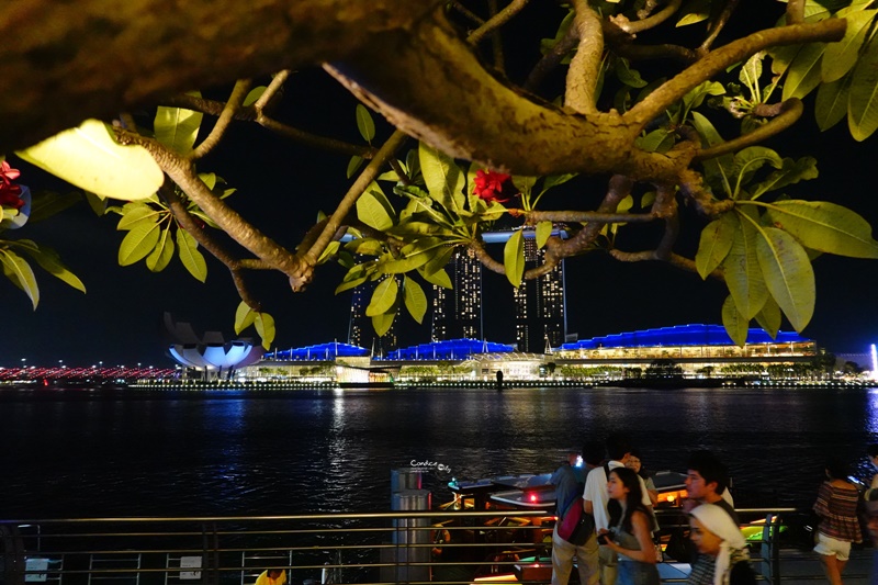 棕櫚灘海鮮Palm Beach｜魚尾獅公園美食,金沙燈光秀餐廳!新加坡螃蟹餐廳推薦!招牌黑胡椒蟹/胡椒蟹必吃!