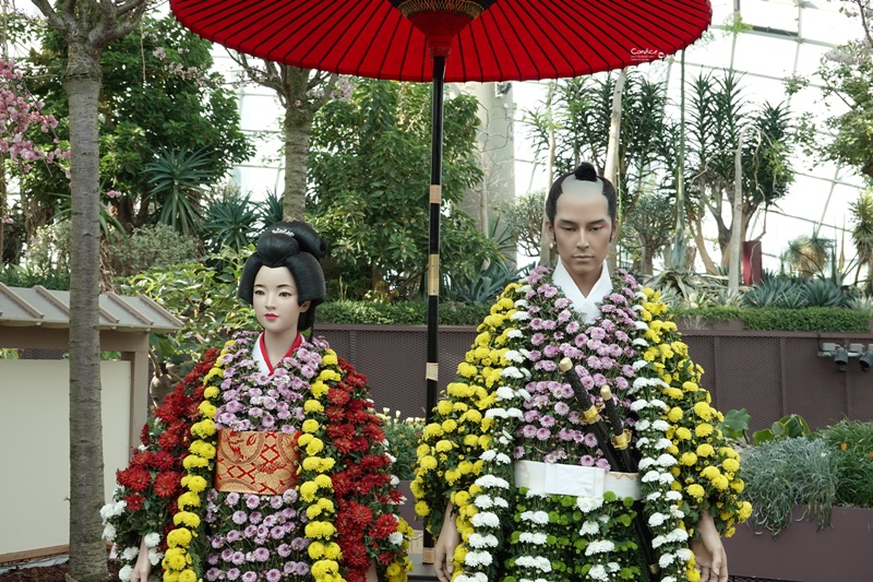 濱海灣花園｜花穹/雲霧林,門票先買便宜!花園中的城市溫室:新加坡必訪景點!