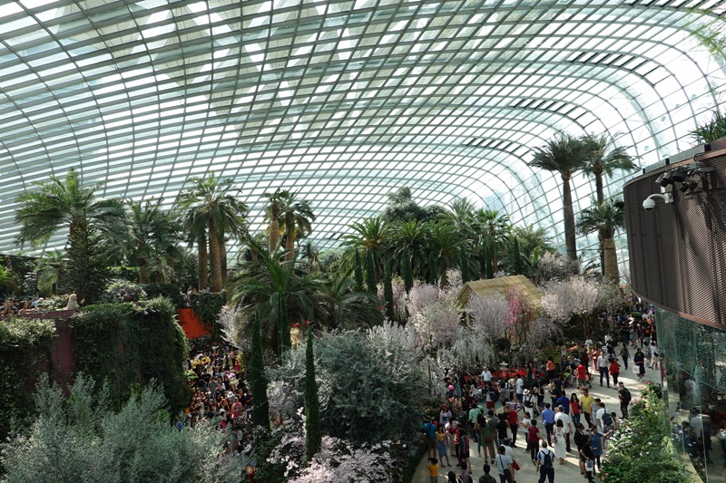 濱海灣花園｜花穹/雲霧林,門票先買便宜!花園中的城市溫室:新加坡必訪景點!