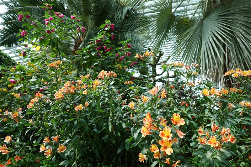 濱海灣花園｜花穹/雲霧林,門票先買便宜!花園中的城市溫室:新加坡必訪景點!