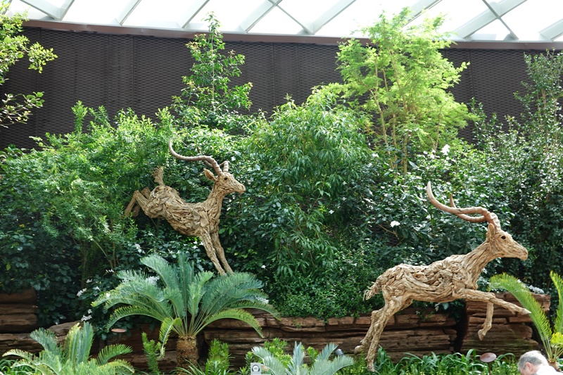 濱海灣花園｜花穹/雲霧林,門票先買便宜!花園中的城市溫室:新加坡必訪景點!