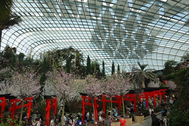 濱海灣花園｜花穹/雲霧林,門票先買便宜!花園中的城市溫室:新加坡必訪景點!