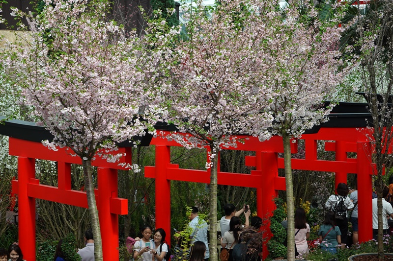 濱海灣花園｜花穹/雲霧林,門票先買便宜!花園中的城市溫室:新加坡必訪景點!