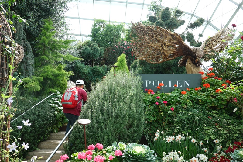 濱海灣花園｜花穹/雲霧林,門票先買便宜!花園中的城市溫室:新加坡必訪景點!