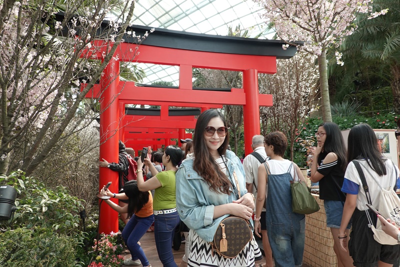 濱海灣花園｜花穹/雲霧林,門票先買便宜!花園中的城市溫室:新加坡必訪景點!