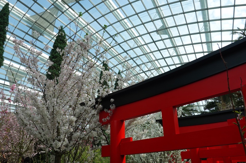 濱海灣花園｜花穹/雲霧林,門票先買便宜!花園中的城市溫室:新加坡必訪景點!