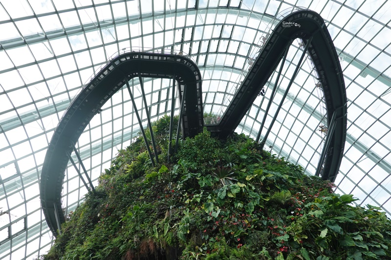 濱海灣花園｜花穹/雲霧林,門票先買便宜!花園中的城市溫室:新加坡必訪景點!