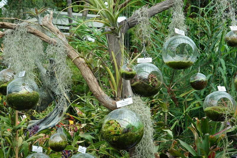 濱海灣花園｜花穹/雲霧林,門票先買便宜!花園中的城市溫室:新加坡必訪景點!