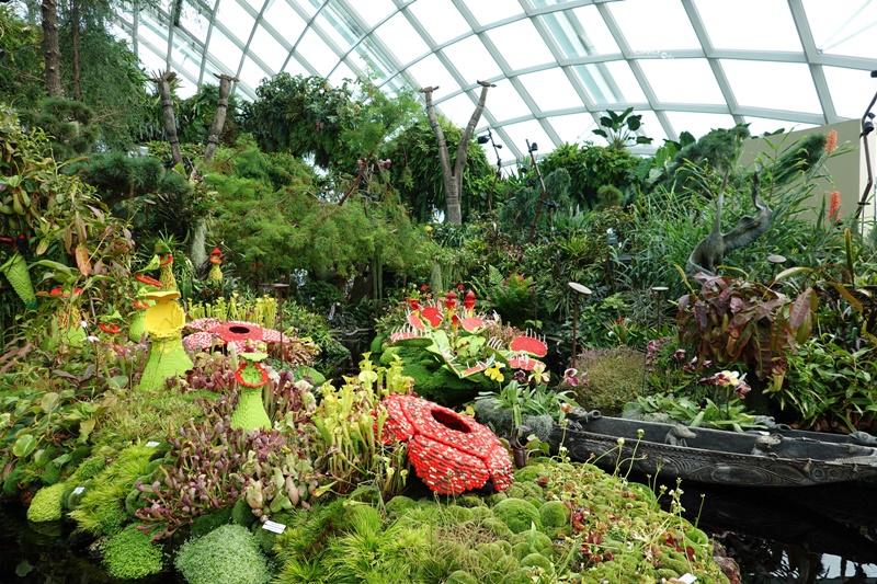 濱海灣花園｜花穹/雲霧林,門票先買便宜!花園中的城市溫室:新加坡必訪景點!