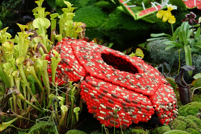 濱海灣花園｜花穹/雲霧林,門票先買便宜!花園中的城市溫室:新加坡必訪景點!