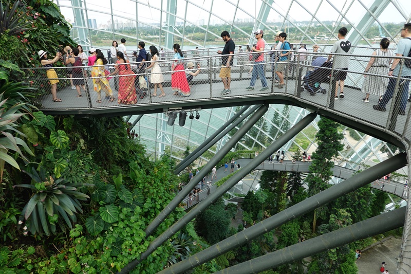 濱海灣花園｜花穹/雲霧林,門票先買便宜!花園中的城市溫室:新加坡必訪景點!