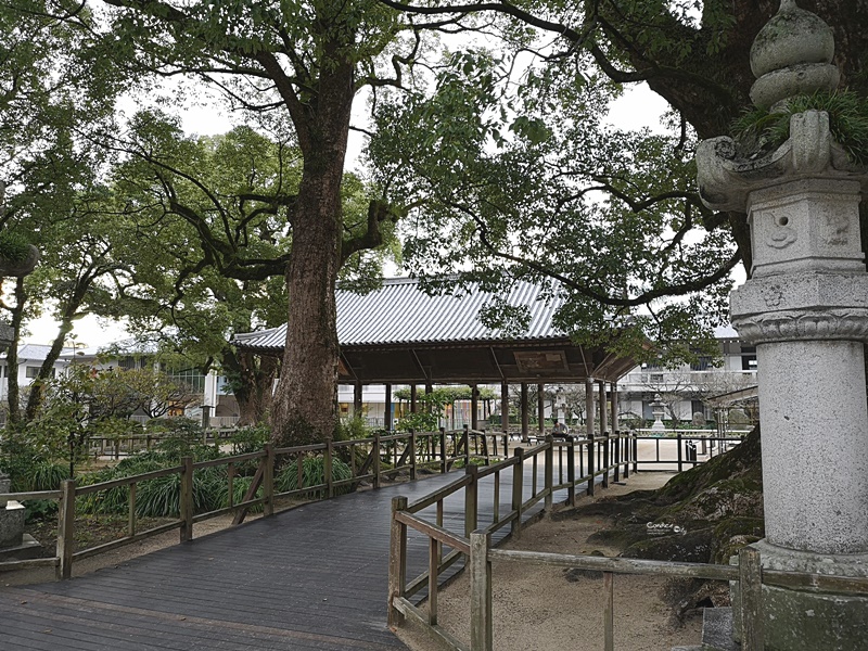 太宰府天滿宮｜表參道商店街吃美食,星巴克超美,還有必吃梅枝餅!停車位置分享