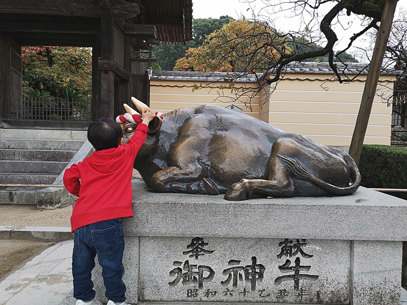 太宰府天滿宮｜表參道商店街吃美食,星巴克超美,還有必吃梅枝餅!停車位置分享