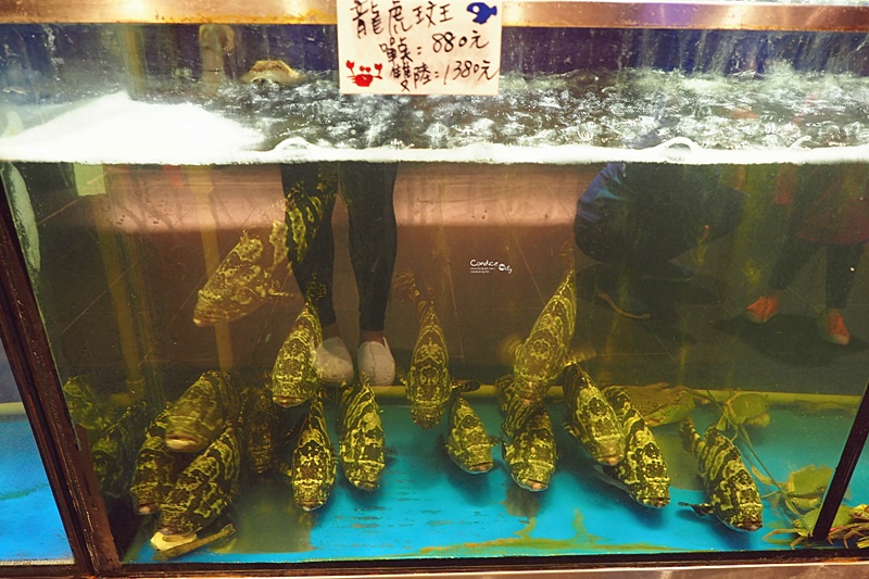 富美海鮮火鍋 羅東店｜超新鮮活海鮮爽爽吃,宜蘭火鍋推薦(菜單)