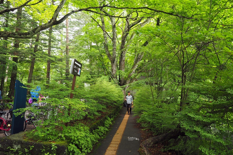 【輕井澤景點】雲場池,腳踏車交通方便,美美夏天避暑聖地!