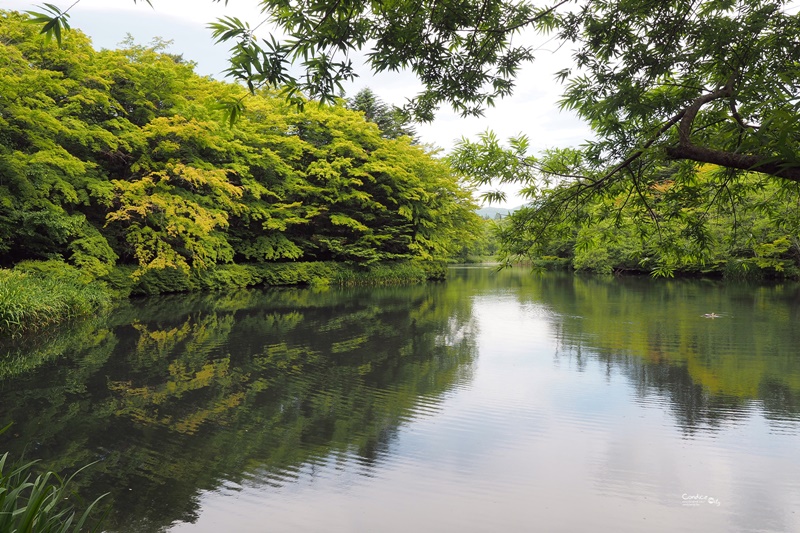 【輕井澤景點】雲場池,腳踏車交通方便,美美夏天避暑聖地!