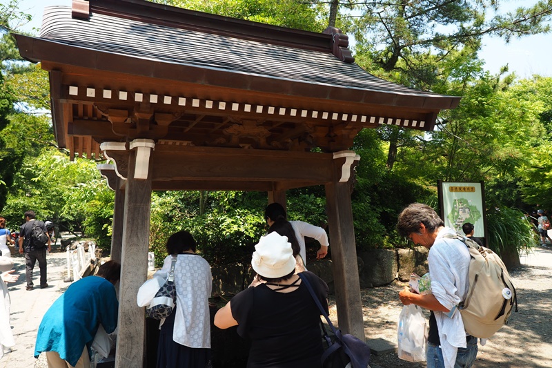 【鎌倉景點】高德院鎌倉大佛,日本第二大肅穆莊嚴的鎌倉佛像(交通門票時間攻略)