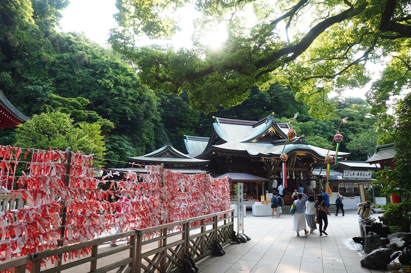 【鎌倉景點】江之島,景點美食一次看!超好玩又很悠哉!鎌倉必訪景點