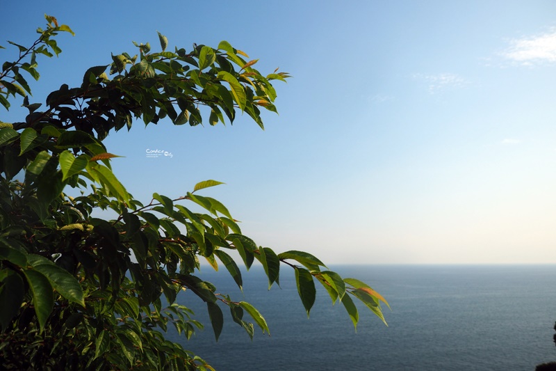 【鎌倉景點】江之島,景點美食一次看!超好玩又很悠哉!鎌倉必訪景點