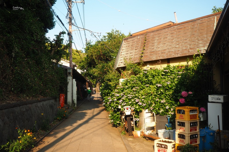 【鎌倉景點】江之島,景點美食一次看!超好玩又很悠哉!鎌倉必訪景點