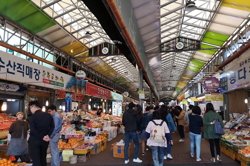 【濟州自由行】濟州島自由行五天四夜,行程表,機票,交通,住宿,景點美食一次看!女子旅遊