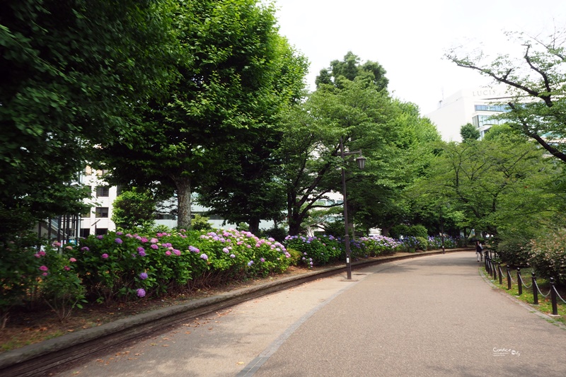 【東京景點】不忍池荷花池,上野恩賜公園,上野景點必訪!