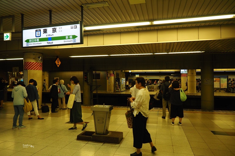 【東京成田機場交通】搭乘成田NEX特快,東京車站1小時到成田機場!