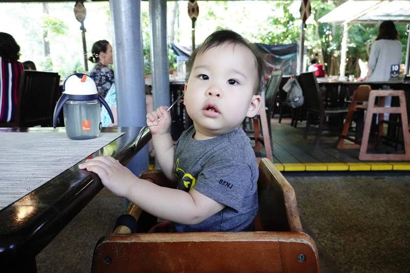 新加坡動物園｜跟猩猩一起吃動物園早餐,餵長頸鹿超棒體驗,新加坡親子景點必訪!