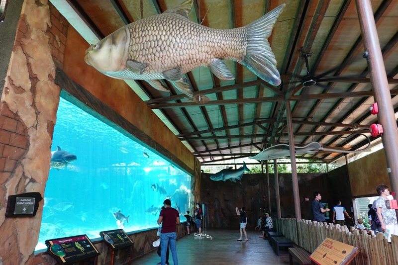 新加坡河川生態園｜超好玩亞馬遜河川體驗,遊覽船小孩超愛的新加坡親子景點