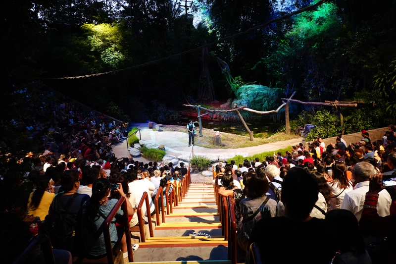 新加坡夜間野生動物園｜全世界第一座晚上開的動物園!搭乘遊園車看動物超有趣!