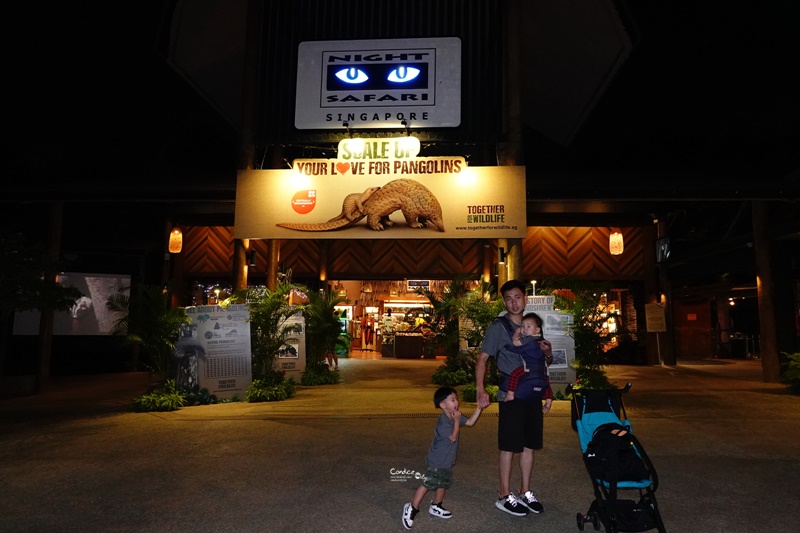 新加坡夜間野生動物園｜全世界第一座晚上開的動物園!搭乘遊園車看動物超有趣!