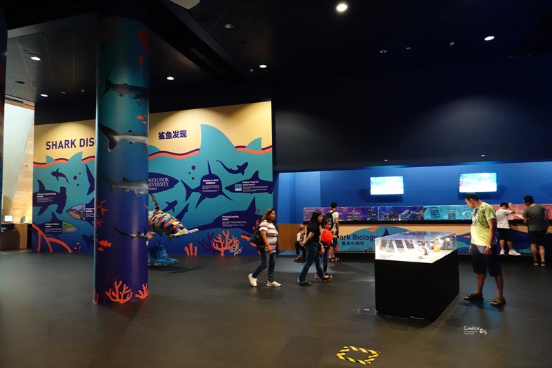 SEA海洋館｜超多大型水族箱,鯊魚是亮點!超美,聖淘沙必訪景點!