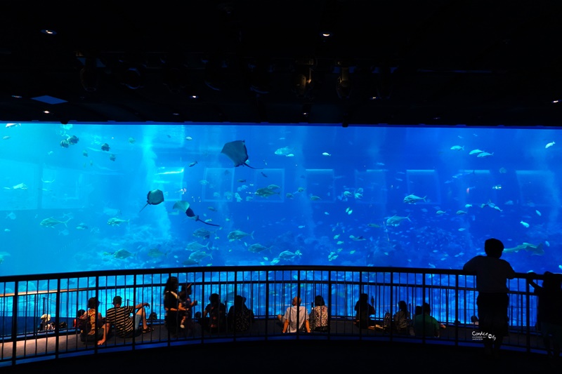 SEA海洋館｜超多大型水族箱,鯊魚是亮點!超美,聖淘沙必訪景點!