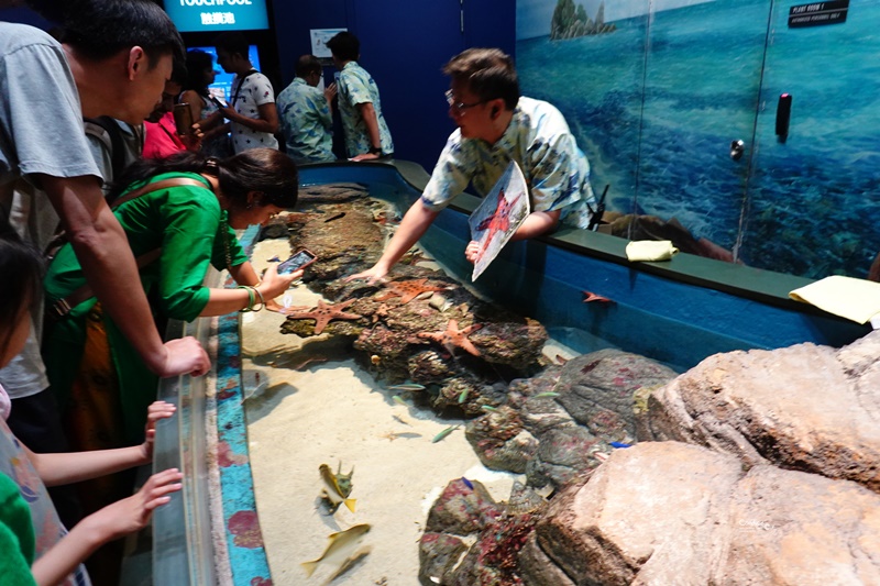 SEA海洋館｜超多大型水族箱,鯊魚是亮點!超美,聖淘沙必訪景點!