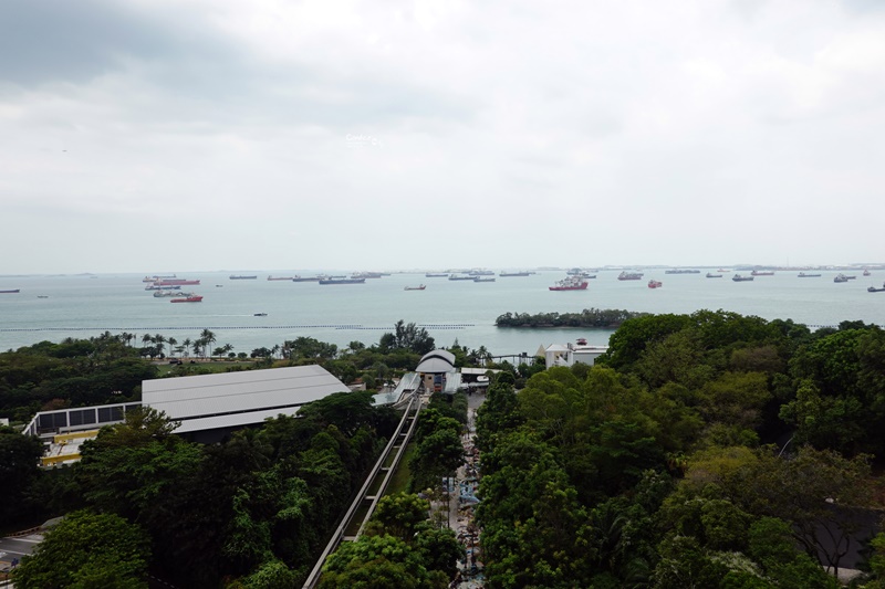 魚尾獅塔｜新加坡景點,跟魚尾獅爸爸合照,觀景台美景!