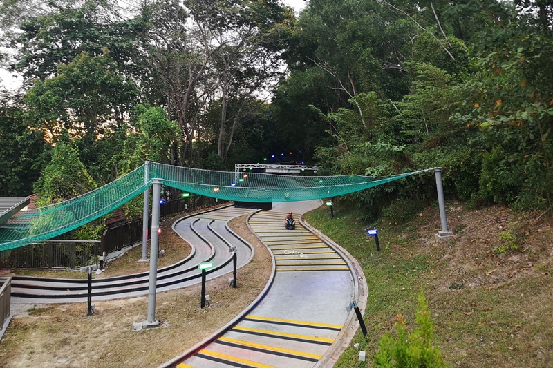 高速斜坡滑車＆空中吊車｜超好玩親子景點!刺激高速聖淘沙景點