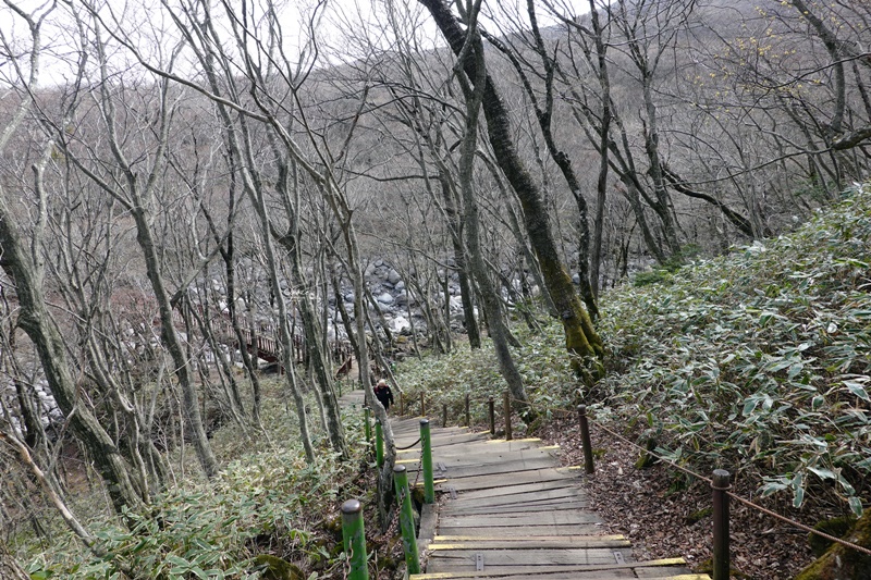 漢孥山｜濟州必訪景點,御里牧溪谷呼吸新鮮空氣!攻頂還有美麗風景可看!