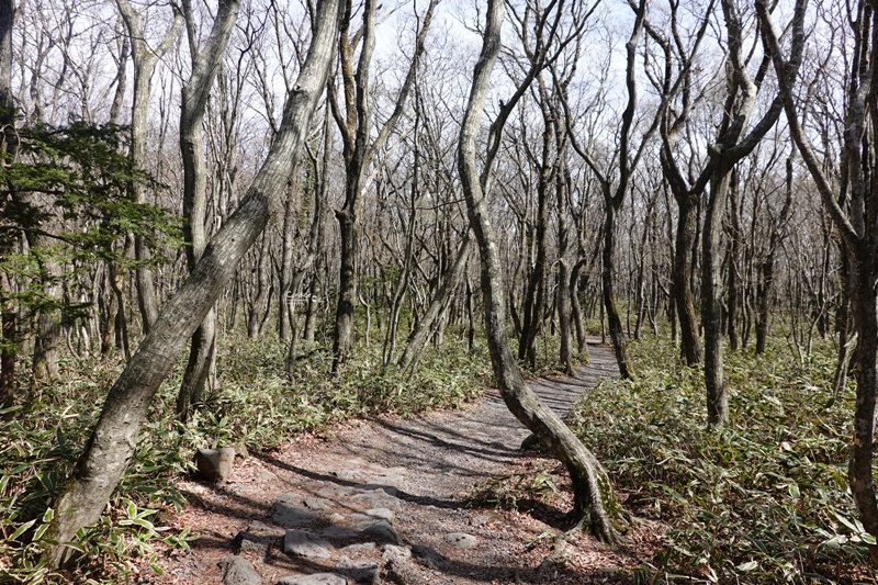 漢孥山｜濟州必訪景點,御里牧溪谷呼吸新鮮空氣!攻頂還有美麗風景可看!