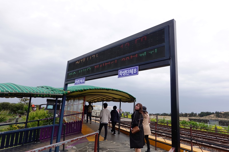 濟州鐵路公園｜濟州鐵路自行車,邊看油菜花邊騎電動車,還有牛馬可以看,超好玩!