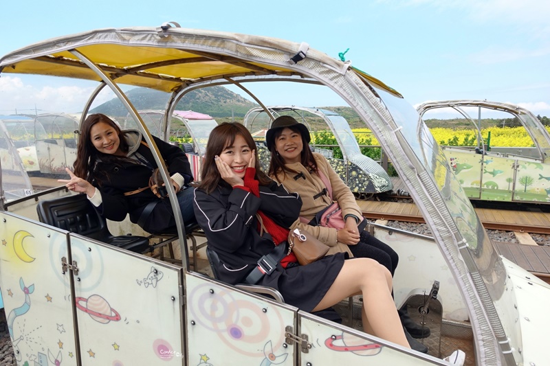 濟州鐵路公園｜濟州鐵路自行車,邊看油菜花邊騎電動車,還有牛馬可以看,超好玩!