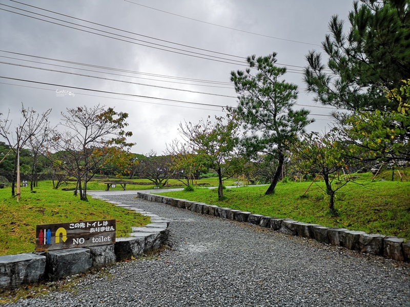 今歸仁城跡｜眺望海邊古城!世界遺產,櫻花季最美(沖繩北部景點)