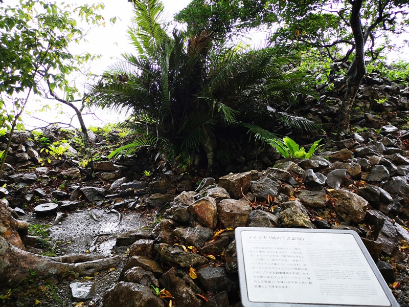 今歸仁城跡｜眺望海邊古城!世界遺產,櫻花季最美(沖繩北部景點)